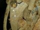 20140208_151213.jpg